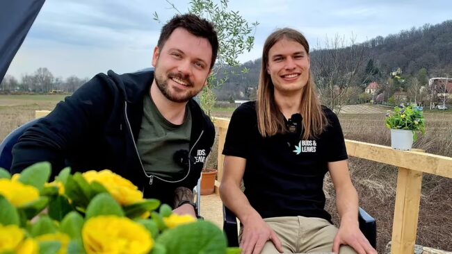 Legalisierungsdebatte und ihren Folgen